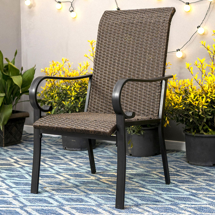 Lark Manor Abhijith 2Pieces Dark Brown Rattan Chair Patio Dining